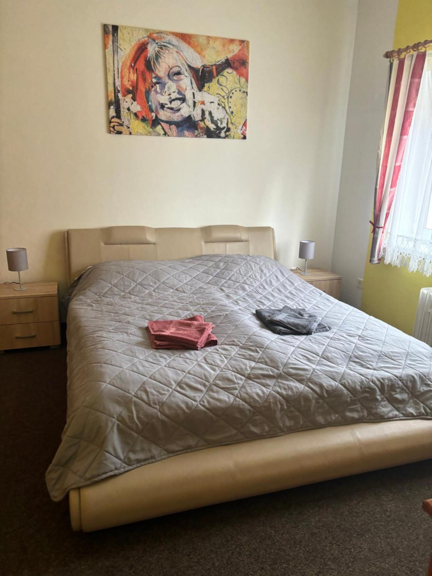Penzion U Dusku Karlsbad Buitenkant foto
